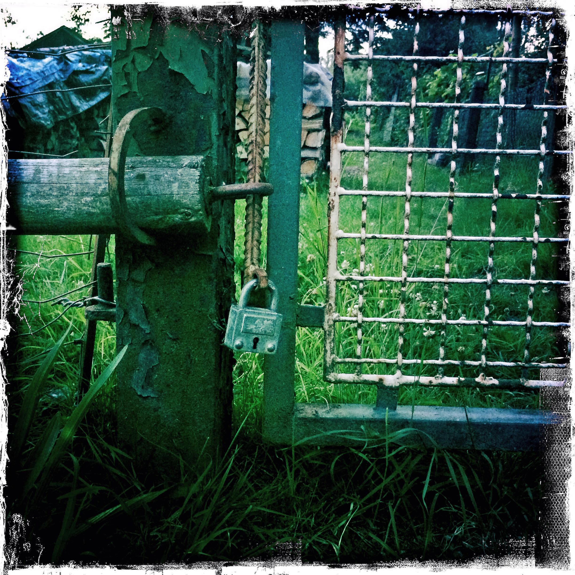 hinter_schloss_riegel_5947